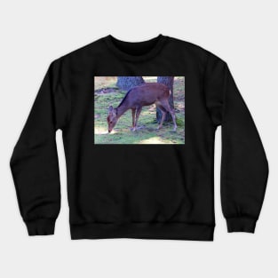 Deer 2 Crewneck Sweatshirt